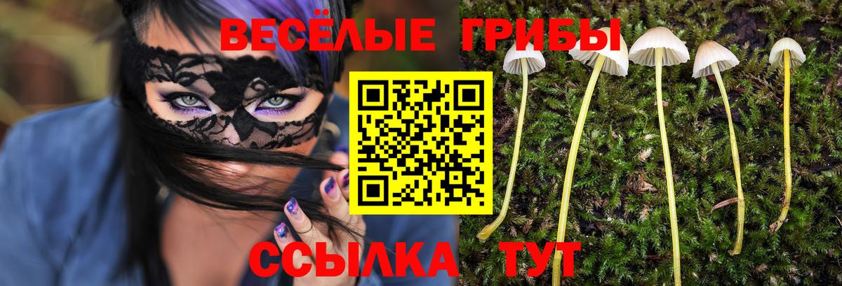 Галлюциногенные грибы MAGIC MUSHROOMS  Галлюциногенные грибы Cubensis  Вход с VPN  Ржев 