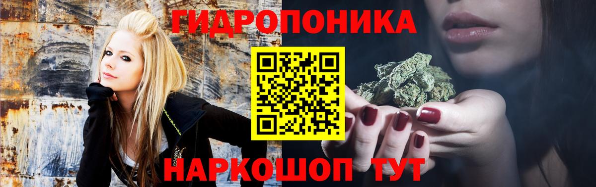 Конопля планчик Ржев